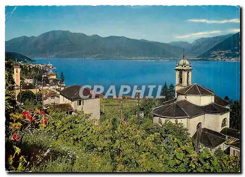 Cartes postales moderne II Gambarogno pittoresco Magadino