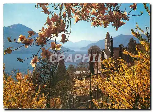 Cartes postales moderne Ronco Der Sonne nach ins Tessinl Zum gunstigen