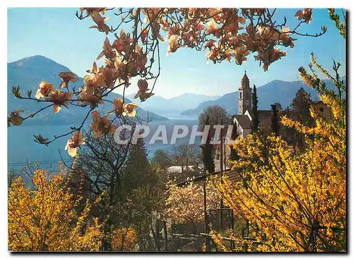 Cartes postales moderne Ronco Der Sonne nach ins Tessinl Zum gunstigen