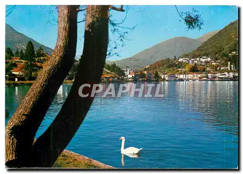 Cartes postales moderne Ponte Tresa VA Raccourci panoramique