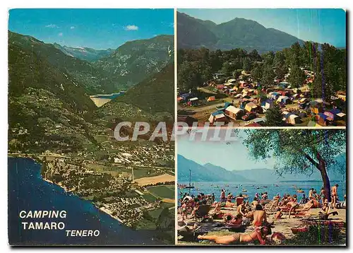 Cartes postales moderne Camping Tamaro Tenero Lago Maggiore