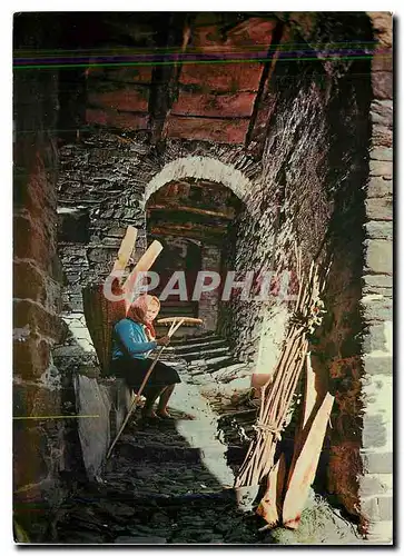 Cartes postales moderne II Ticino Pittoresco