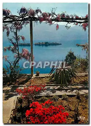 Cartes postales moderne Porto Ronco Lago Maggiore Vista Isole di Brissago