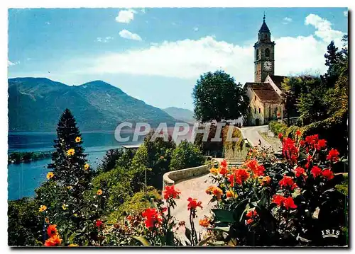 Moderne Karte Ronco S Ascona Lago Maggiore