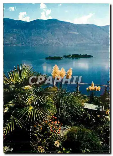 Moderne Karte Ronco S Ascona Lago Maggiore Vista sulle Isole di Brissago