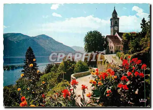 Moderne Karte Ronco S Ascona Lago Maggiore