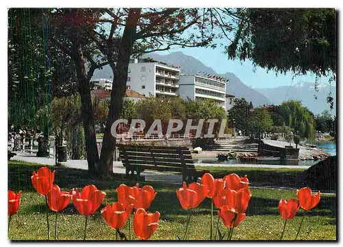 Cartes postales moderne Locarno II Lungaslago
