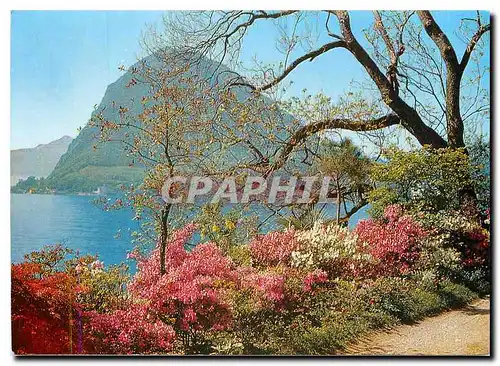 Cartes postales moderne Lugano con S Salvatore