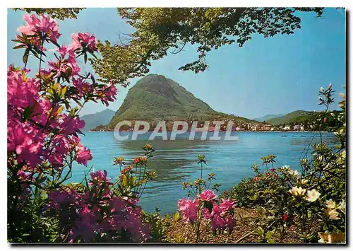 Cartes postales moderne Lugano II S Salvatore visto del Parco Ciani