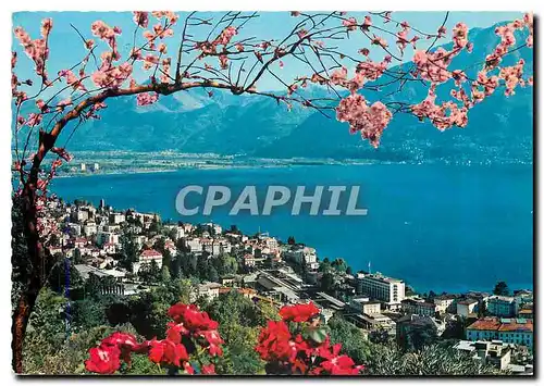 Cartes postales moderne Lac majeur Locarno Vue generale