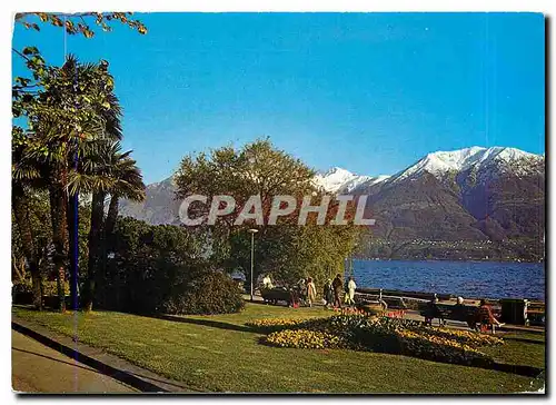 Cartes postales moderne Locarno Lago Maggiore Giardini Lungolago