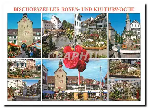 Cartes postales moderne Bischofszeller Rosen und Kulturwoche