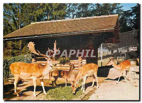 Moderne Karte Kneipp Kurhaus Dussnang TG