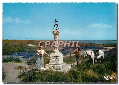 Cartes postales moderne La Provence et son Folklore Mireille et Vincent a la Croix des Gardians