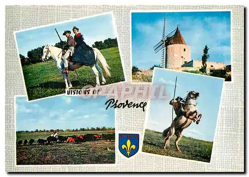 Cartes postales moderne Visions de Provence Gardian et Arlessienne