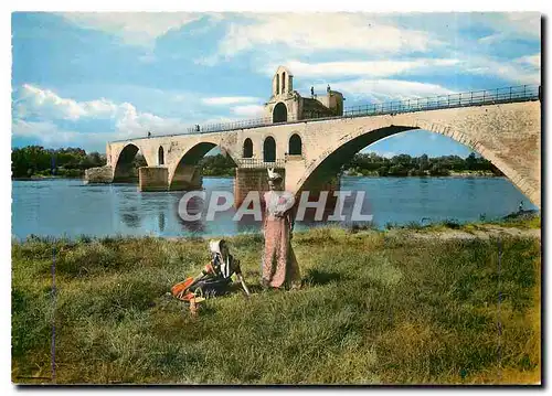 Cartes postales moderne Avignon Vaucluse Arlesienne et Comtadine devant le Pont St Benezet