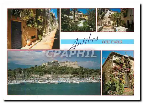 Cartes postales moderne Antibes Cote d'Azur Alpes Maritimes