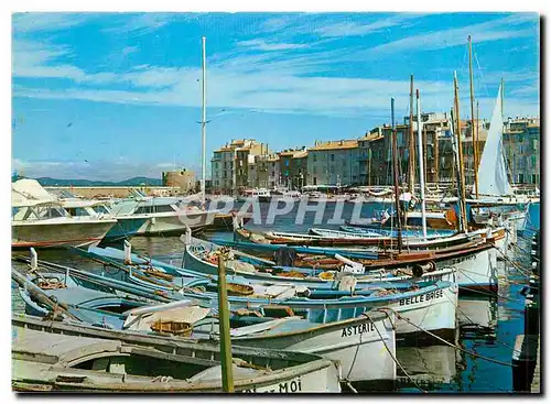 Cartes postales moderne Saint Tropez Un coin pitoresque du port