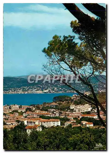 Moderne Karte Saint Tropez Var Saint Tropez et son Golfe Au loin Sainte Maxime