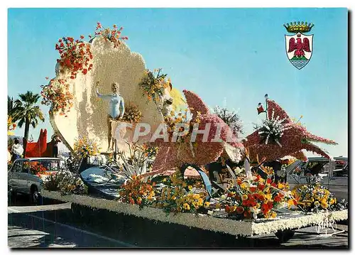 Cartes postales moderne La Cote d'Azur Nice Bataille des Fleurs