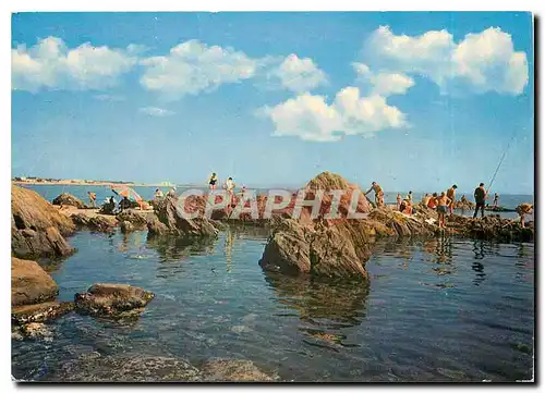 Moderne Karte Argeles sur Mer Le Racour Les rochers Au fond les tours d'Argeles