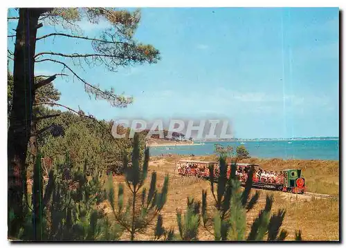 Cartes postales moderne Ile d'Oleron Ch Mme Le petit train touristique de Saint Trojan et la Plage de Gatseau