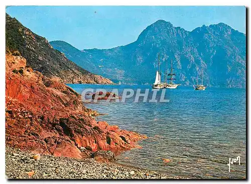 Cartes postales moderne Couleurs et Lumiere de France La Corse Oasis de Beaute Girolata Les Voiliers au repos dans les e