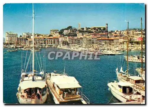 Cartes postales moderne Cannes Alpes Maritimes Le port le quai St Pierre et la colline du Suquet