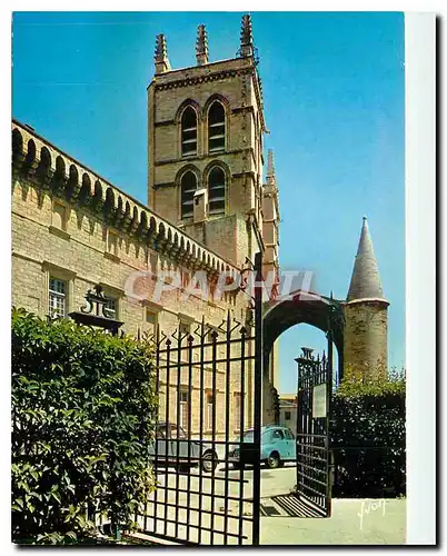 Cartes postales moderne Montpellier Herault La Faculte de Medecine et le Clocher de la Cathedrale Saint Pierre