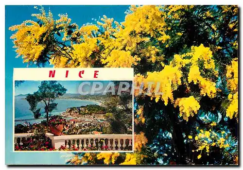 Cartes postales moderne Nice French Riviera Souvenir de Nice