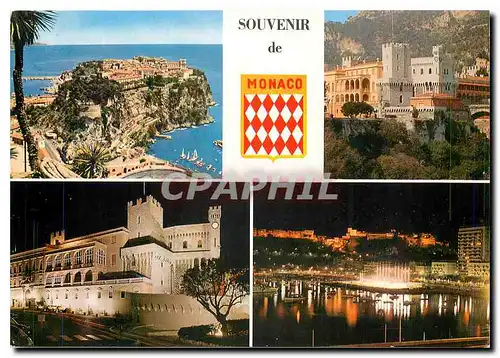 Cartes postales moderne Souvenir de Monaco