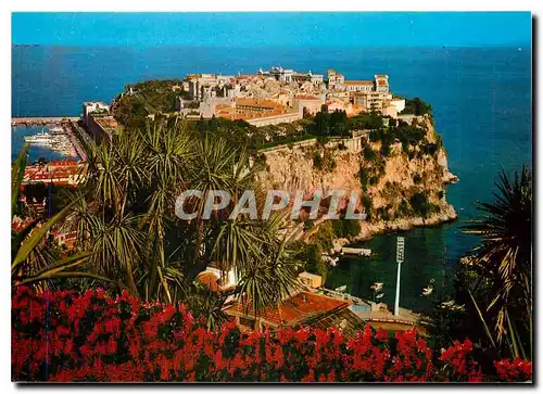 Cartes postales moderne Principaute de Monaco Le Rocher et le Jardin Exotique