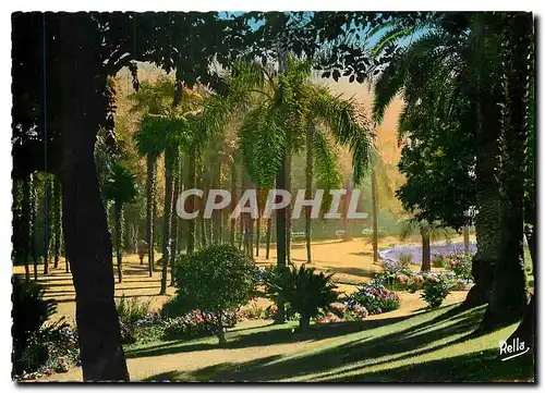 Cartes postales moderne La Cote d'Azur Monte Carlo Contre jour sur les jardins