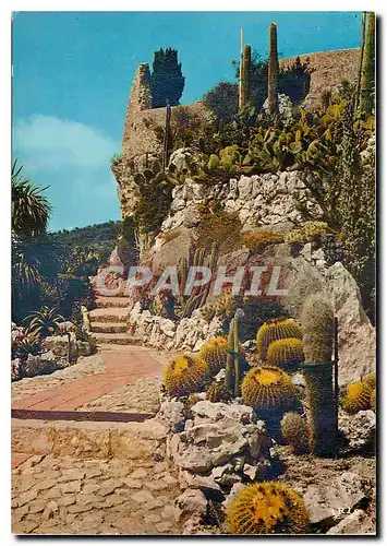 Cartes postales moderne La Cote d'Azur et ses jardins exotiques Eze Village