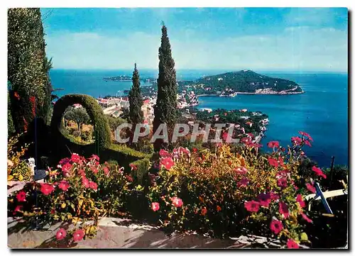 Moderne Karte La Cote d'Azur Le Cap Ferrat
