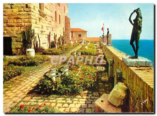 Cartes postales moderne Antibes Alpes Maritimes Le Chateau Musee Picasso