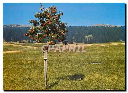 Cartes postales moderne Le Bassin de l'Arnon Pres de Bullet Le Cochet a gauche et le Chasseron