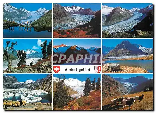 Cartes postales moderne Grosser Aletschgletscher Wallis Schweiz