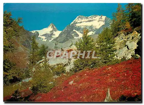 Cartes postales moderne Fletschhorn Laquinhorn im Saastal