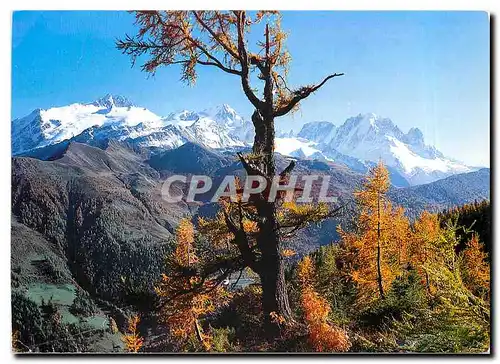 Cartes postales moderne Vue depuis Emosson sur Finhaut les Aiguilles du Tour le Chardonnet et l'Aiguille Verte Avec les