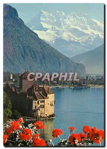 Cartes postales moderne Le Chateau de Chillon Villeneuve et les Dents du Midi