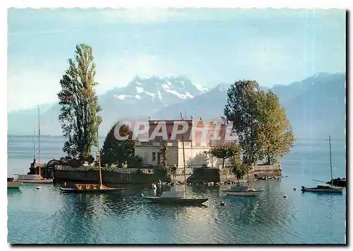 Cartes postales moderne Lac Leman L'lle de Salagnon et les Dents du Midi