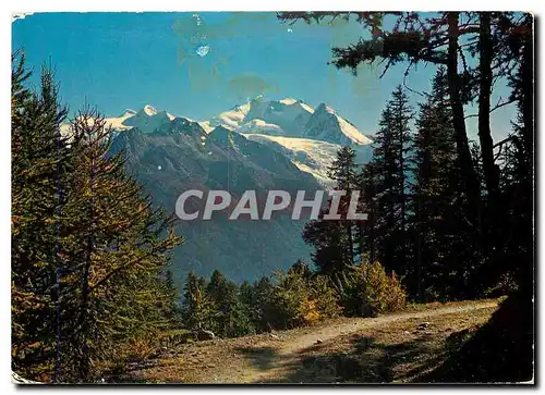 Cartes postales moderne Moosalp Wallis Balfrin und Mischabel