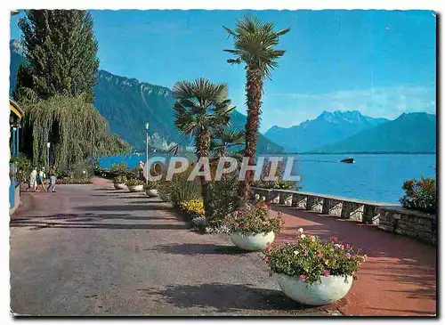 Cartes postales moderne Montreux Le Quai et les Dents du Midi