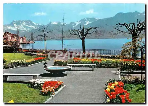 Cartes postales moderne Montreux