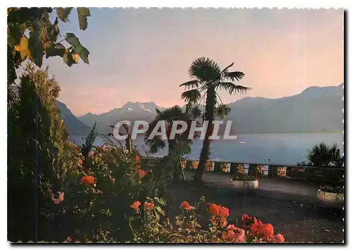 Cartes postales moderne Crepuscule a Montreux