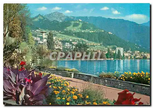Moderne Karte Montreux Le Quai fleuri et vue sur les Rochers de Naye
