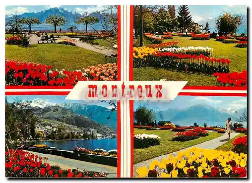 Cartes postales moderne Montreux