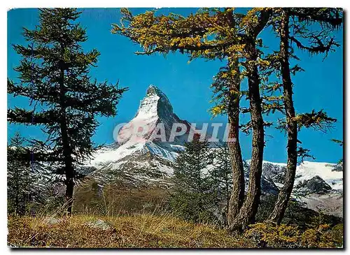 Cartes postales moderne Zermatt Sunnegga mit Matterhorn