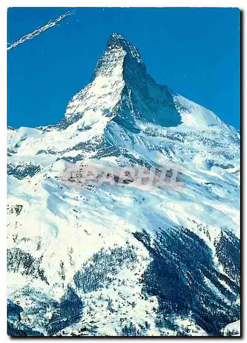 Cartes postales moderne Zermatt Skigebiet Schwarzee und Hornli Matterhorn Mt Cervin